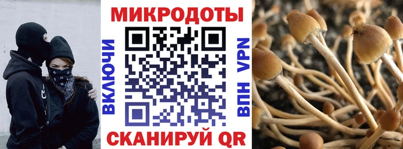 Галлюциногенные грибы GOLDEN TEACHER  где купить   Краснокаменск 