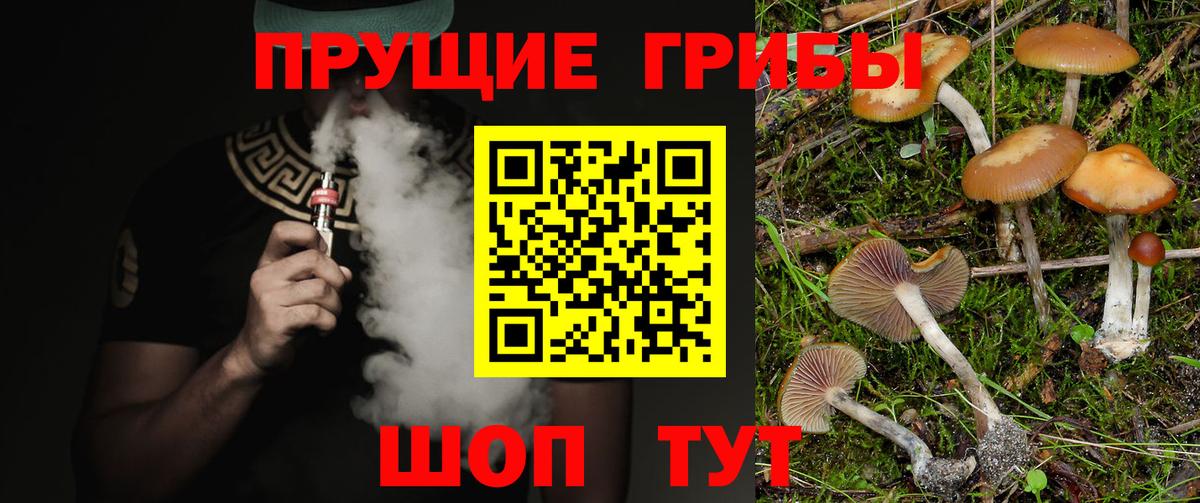 Галлюциногенные грибы ЛСД Краснокаменск