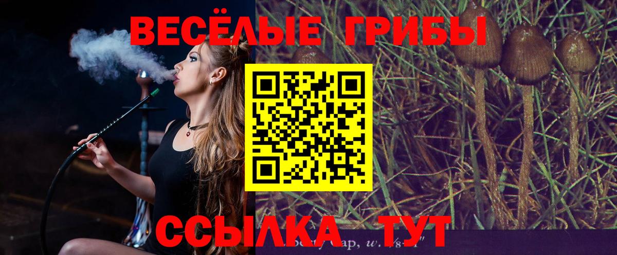 Псилоцибиновые грибы GOLDEN TEACHER  Вход с VPN  Краснокаменск 
