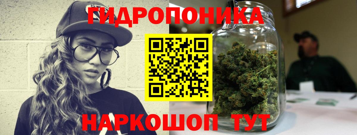 Конопля OG Kush  Вход с VPN  Краснокаменск  Канабис OG Kush  Бошки марихуана SATIVA & INDICA 